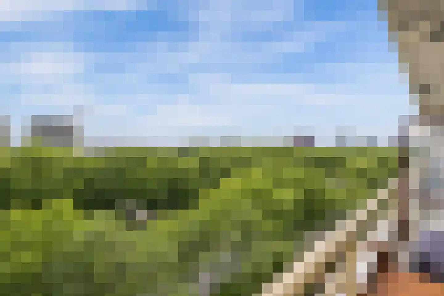 Livingstonelaan 198 Utrecht thumbnail 11
