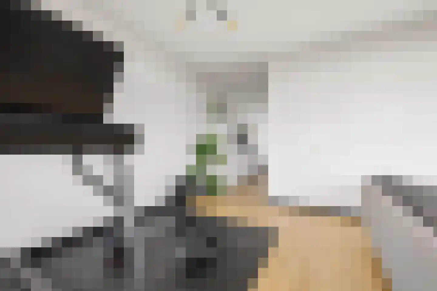 Livingstonelaan 198 Utrecht thumbnail 12