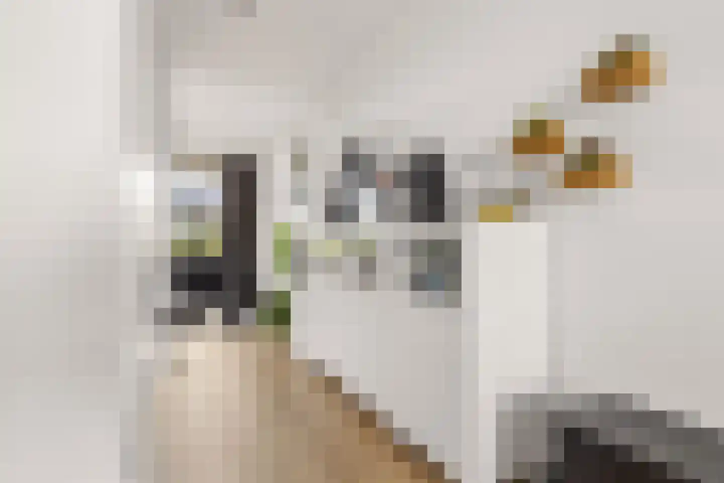 Livingstonelaan 198 Utrecht thumbnail 13
