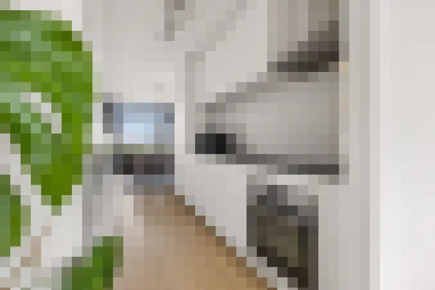 Livingstonelaan 198 Utrecht thumbnail 14