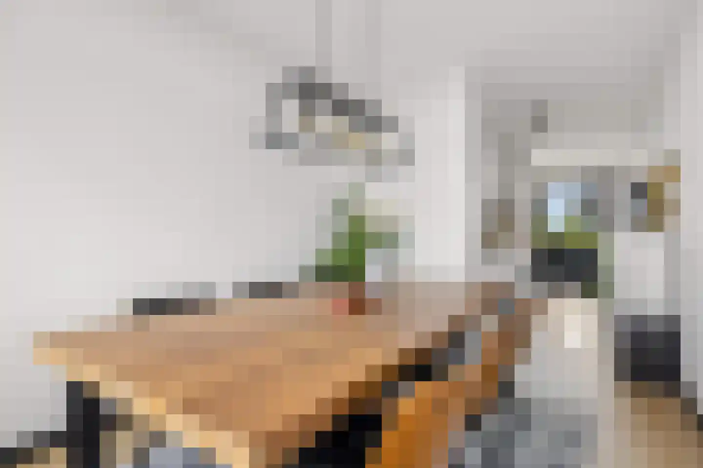 Livingstonelaan 198 Utrecht thumbnail 15