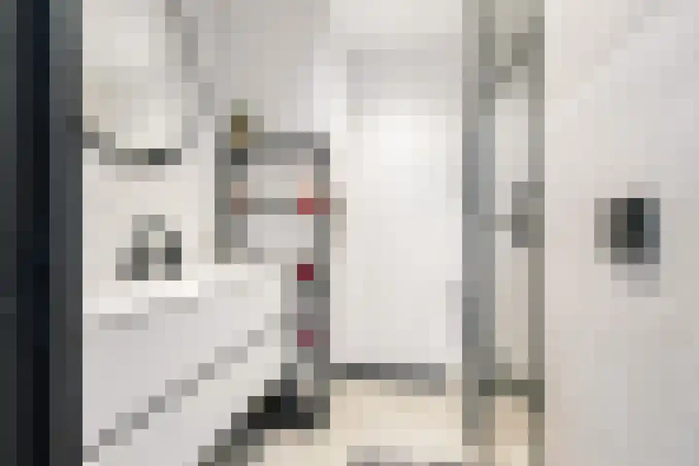 Livingstonelaan 198 Utrecht thumbnail 17