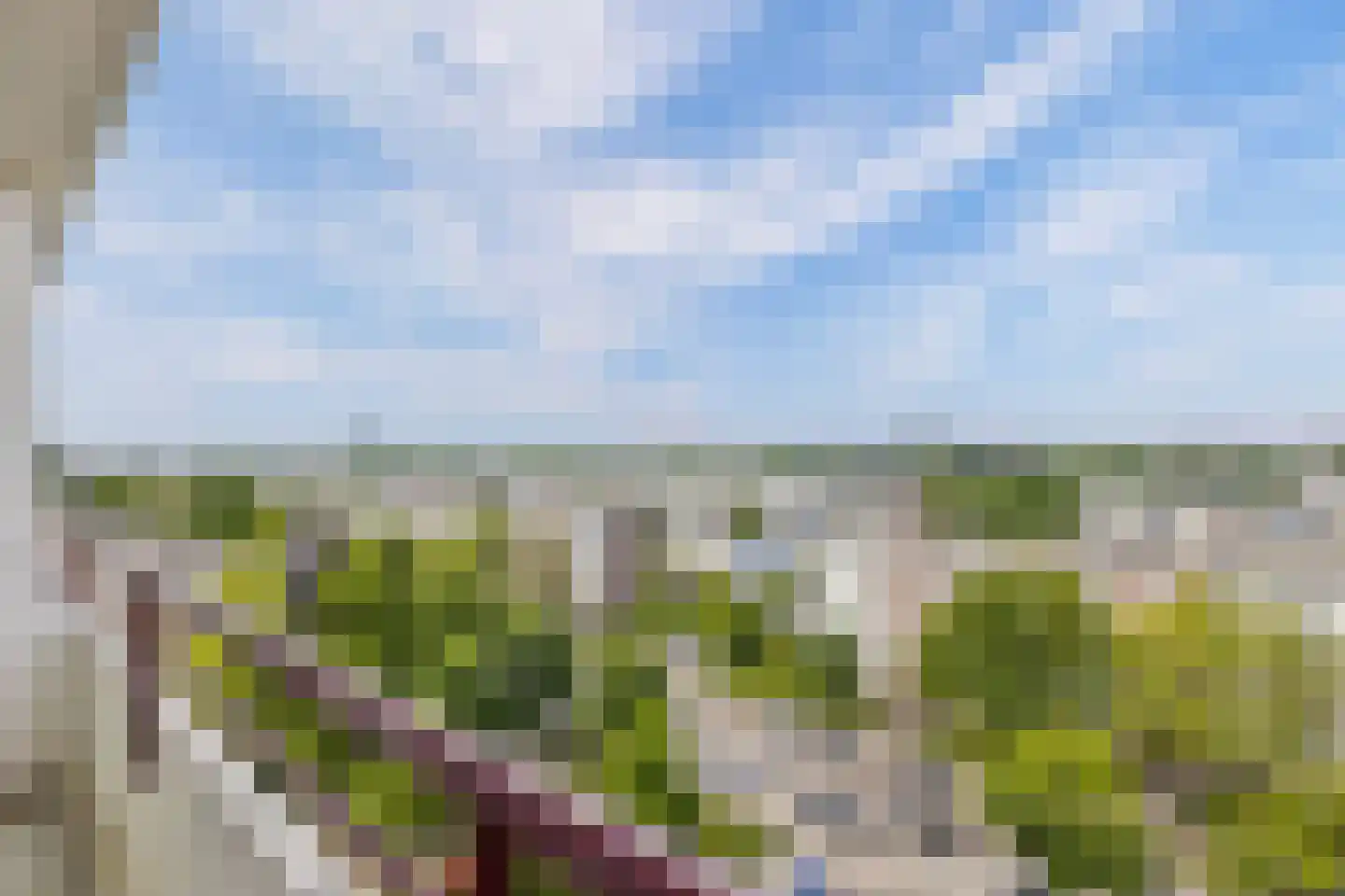 Livingstonelaan 198 Utrecht thumbnail 24