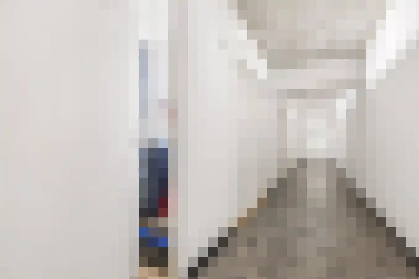 Livingstonelaan 198 Utrecht thumbnail 25