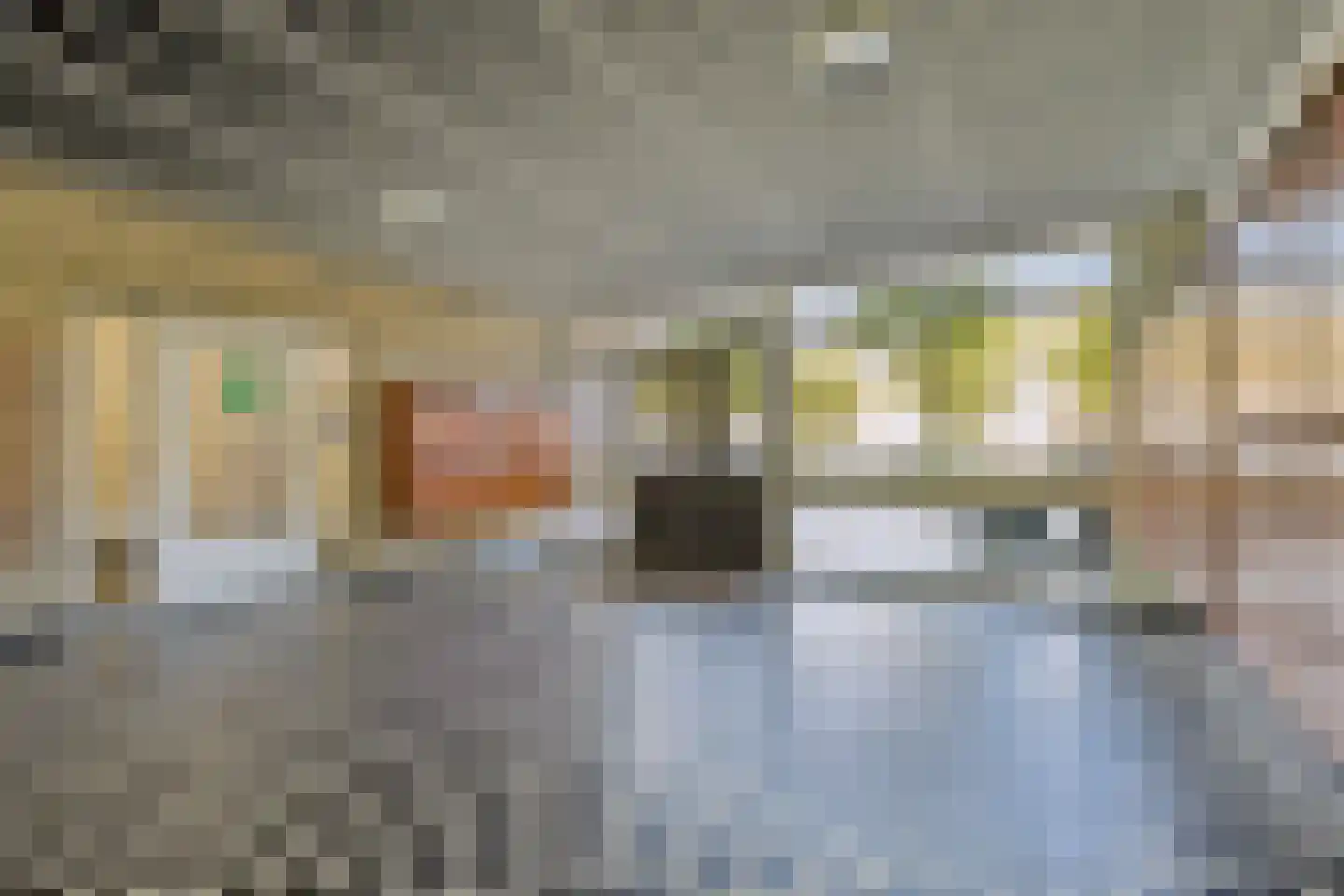 Livingstonelaan 198 Utrecht thumbnail 27