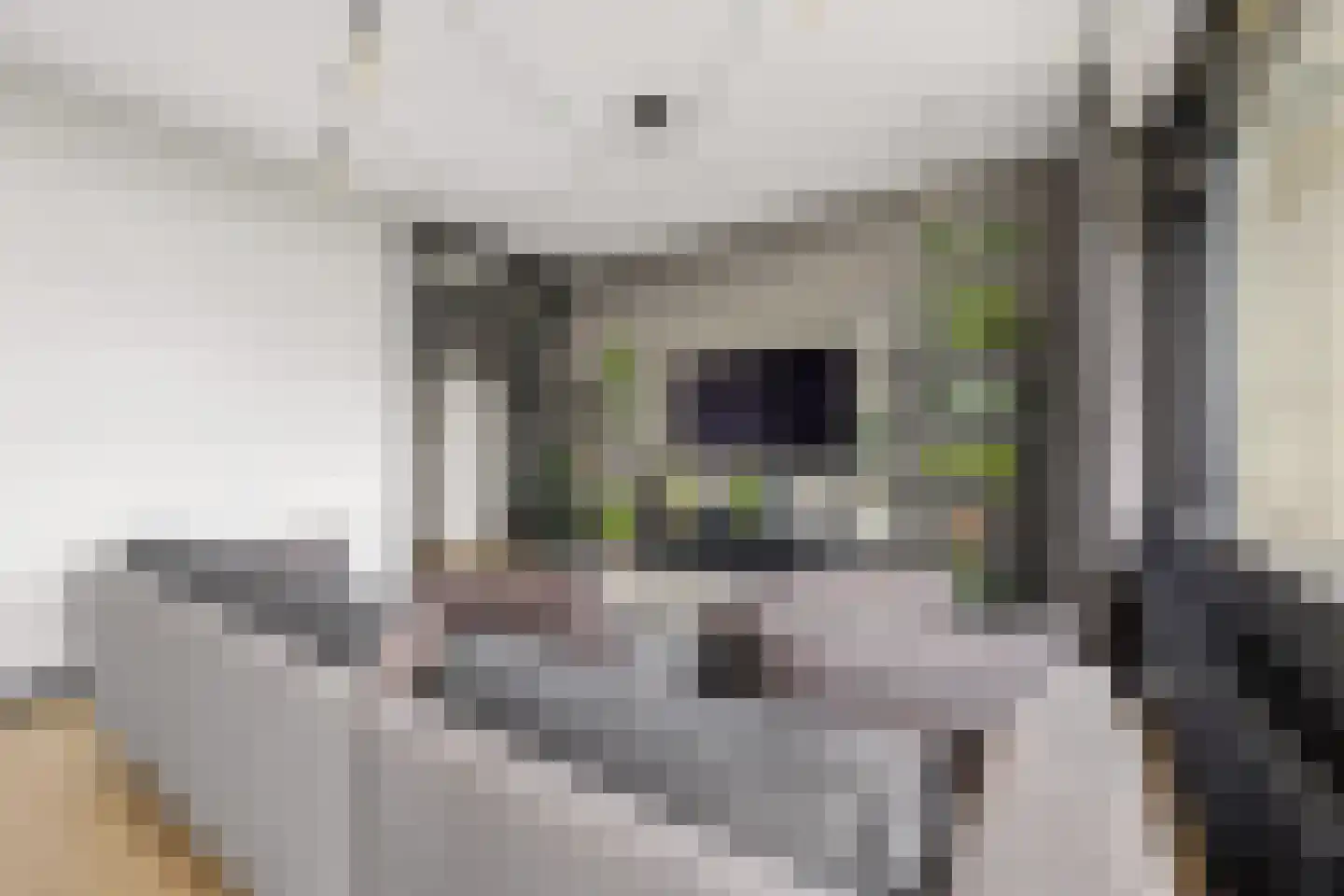 Livingstonelaan 198 Utrecht thumbnail 8