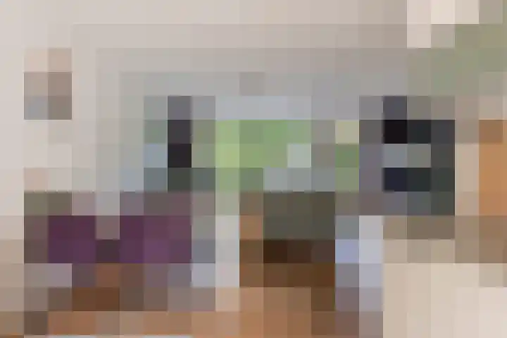 Livingstonelaan 20 Gouda thumbnail 10