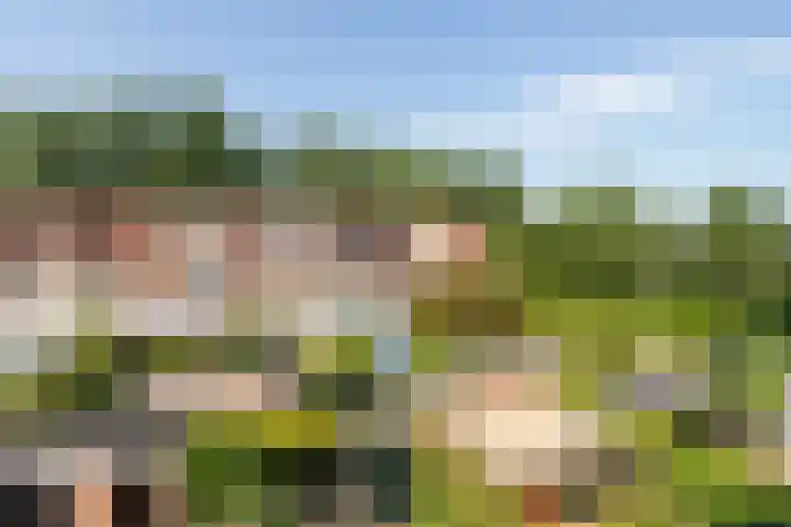 Livingstonelaan 20 Gouda thumbnail 16