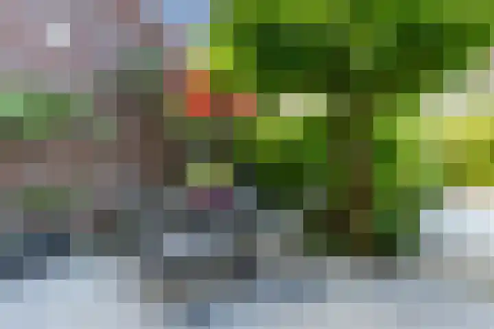 Livingstonelaan 20 Gouda thumbnail 24