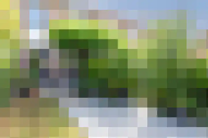 Livingstonelaan 20 Gouda thumbnail 26