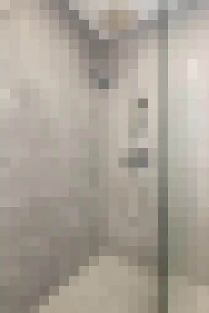 Livingstonelaan 208 Utrecht thumbnail 12