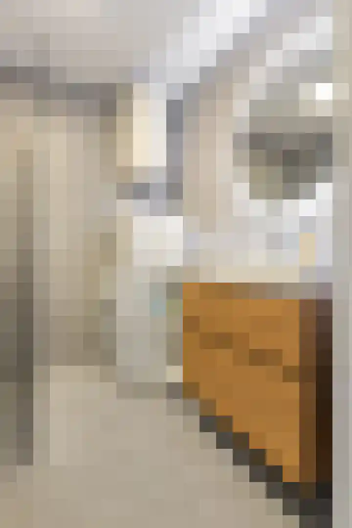 Livingstonelaan 208 Utrecht thumbnail 13