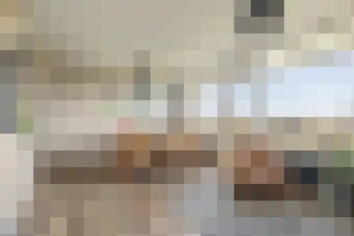 Livingstonelaan 208 Utrecht thumbnail 14