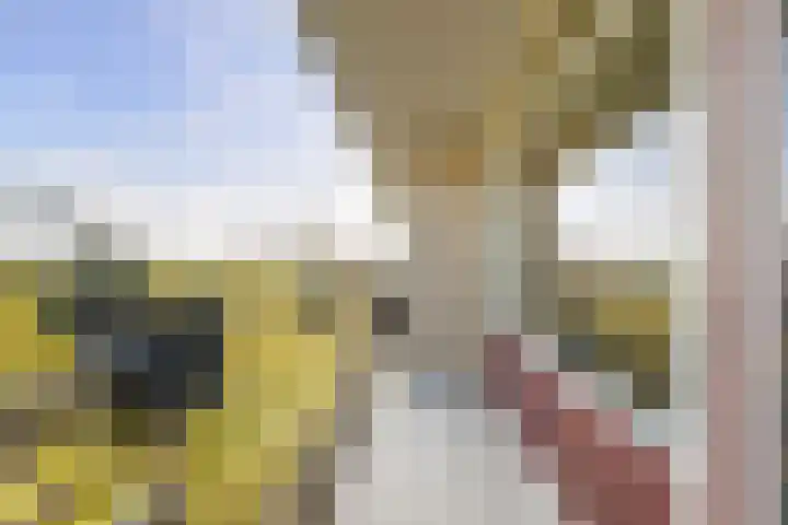 Livingstonelaan 208 Utrecht thumbnail 16