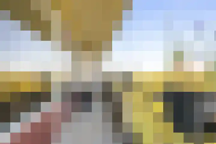 Livingstonelaan 208 Utrecht thumbnail 17