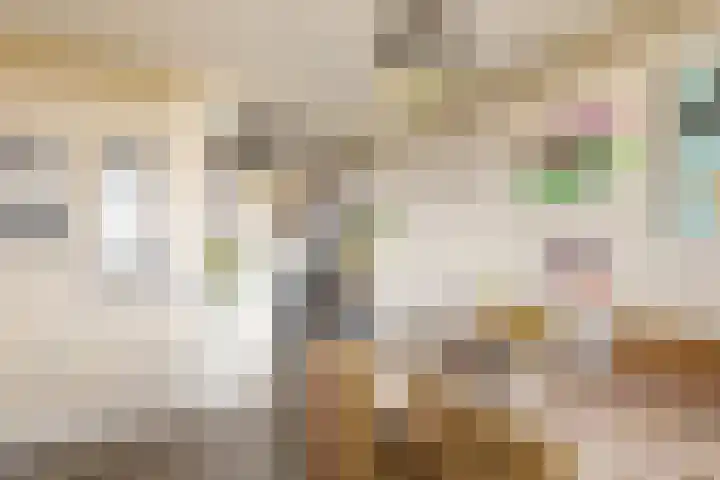 Livingstonelaan 208 Utrecht thumbnail 18