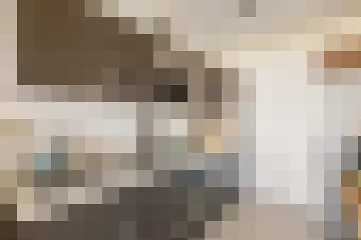 Livingstonelaan 208 Utrecht thumbnail 19