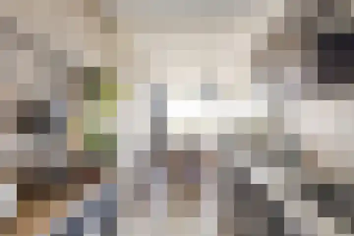 Livingstonelaan 208 Utrecht thumbnail 20