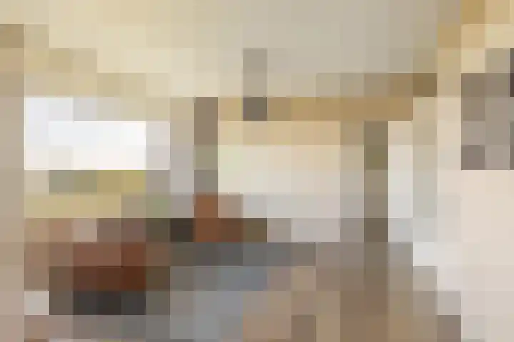 Livingstonelaan 208 Utrecht thumbnail 21