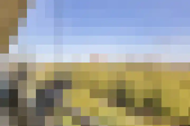 Livingstonelaan 208 Utrecht thumbnail 25
