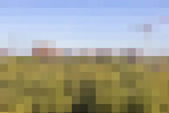 Livingstonelaan 208 Utrecht thumbnail 26
