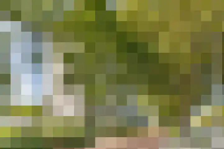 Livingstonelaan 208 Utrecht thumbnail 27