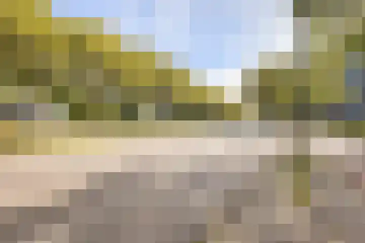 Livingstonelaan 208 Utrecht thumbnail 28