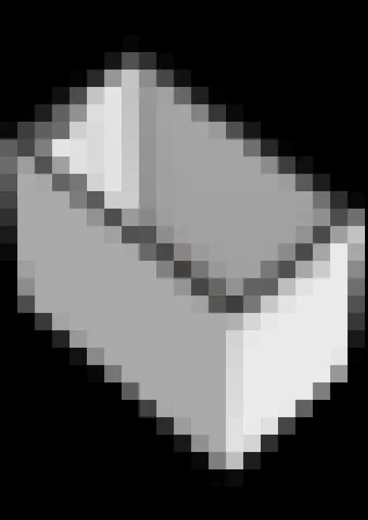 Livingstonelaan 208 Utrecht thumbnail 33