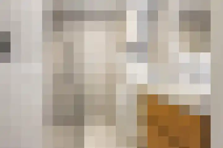 Livingstonelaan 208 Utrecht thumbnail 5