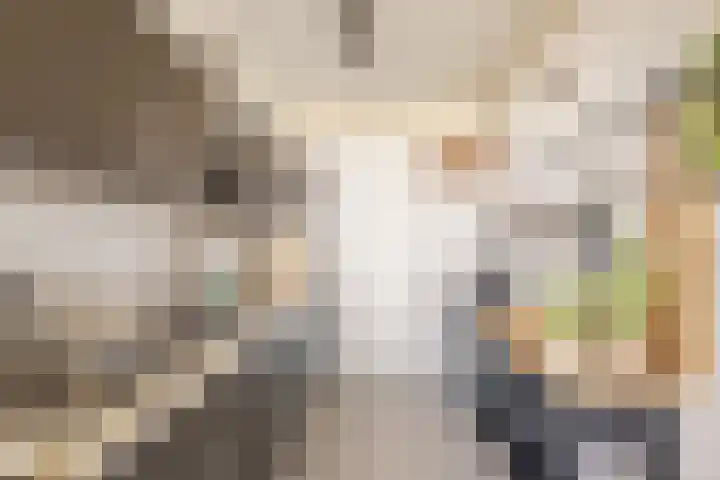 Livingstonelaan 208 Utrecht thumbnail 6