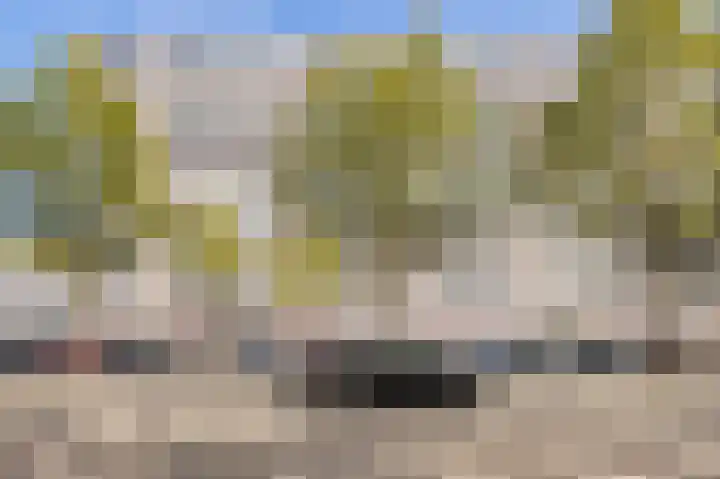 Livingstonelaan 208 Utrecht thumbnail 7