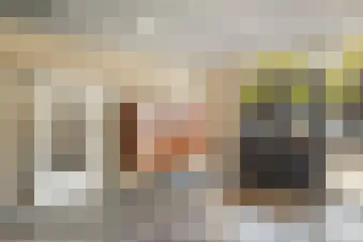 Livingstonelaan 208 Utrecht thumbnail 9