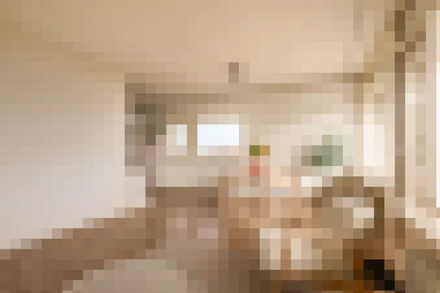 Livingstonelaan 214 Utrecht thumbnail 15