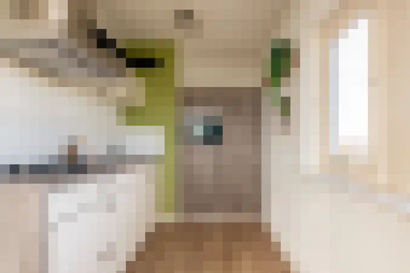 Livingstonelaan 214 Utrecht thumbnail 18