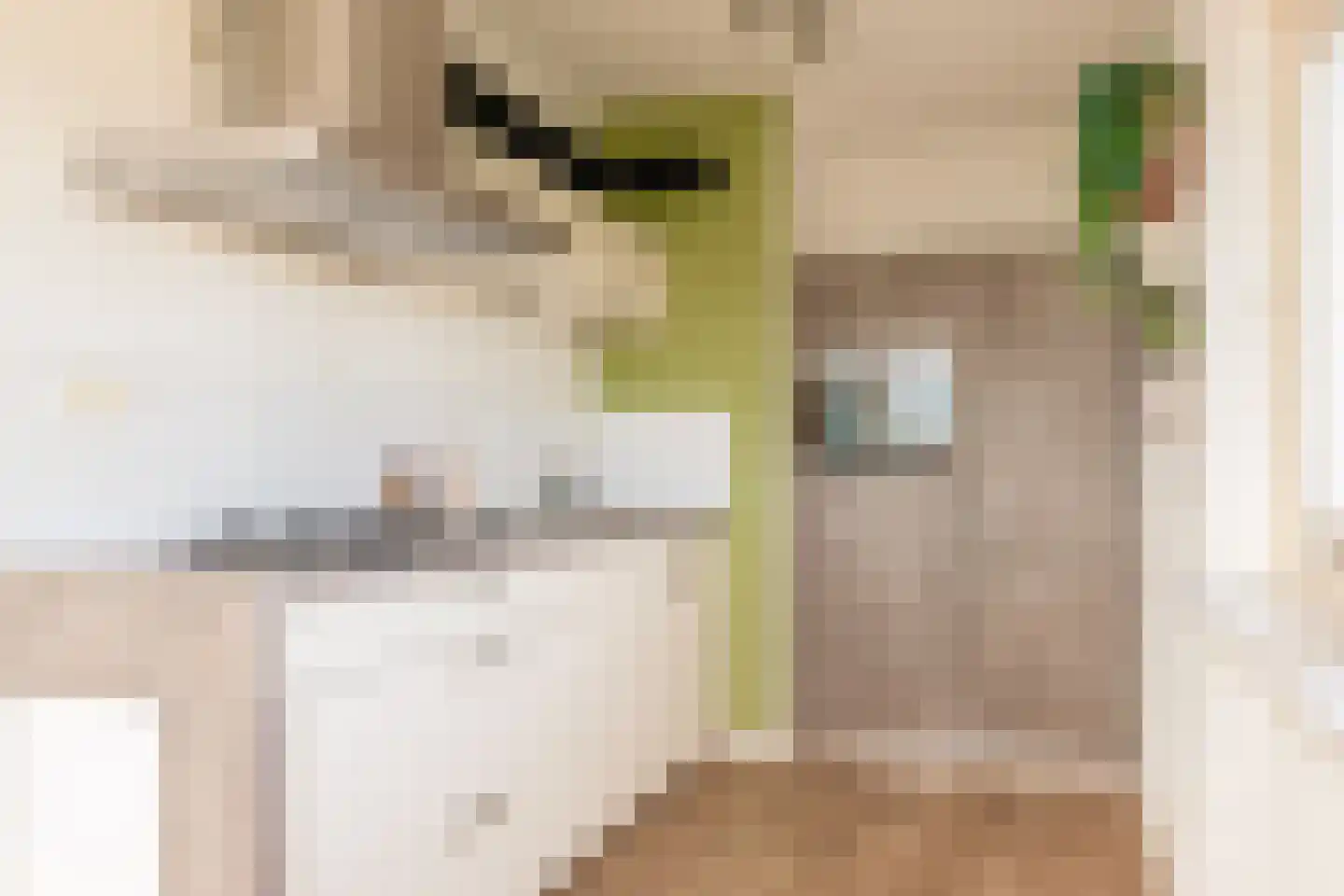 Livingstonelaan 214 Utrecht thumbnail 19