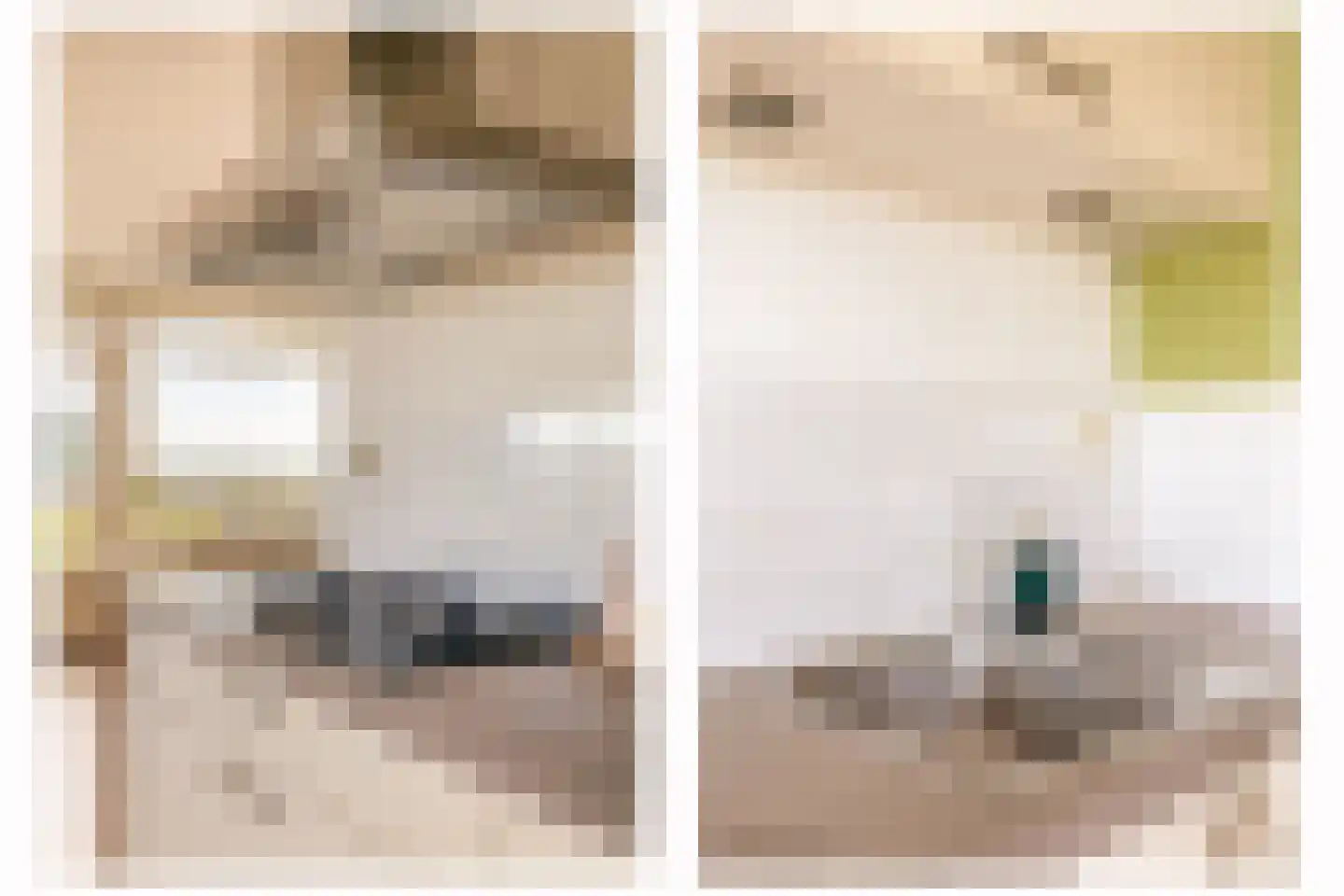 Livingstonelaan 214 Utrecht thumbnail 21