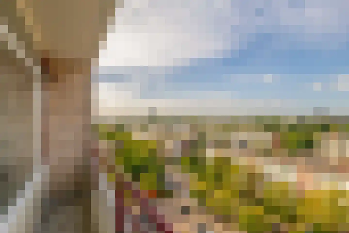 Livingstonelaan 214 Utrecht thumbnail 30
