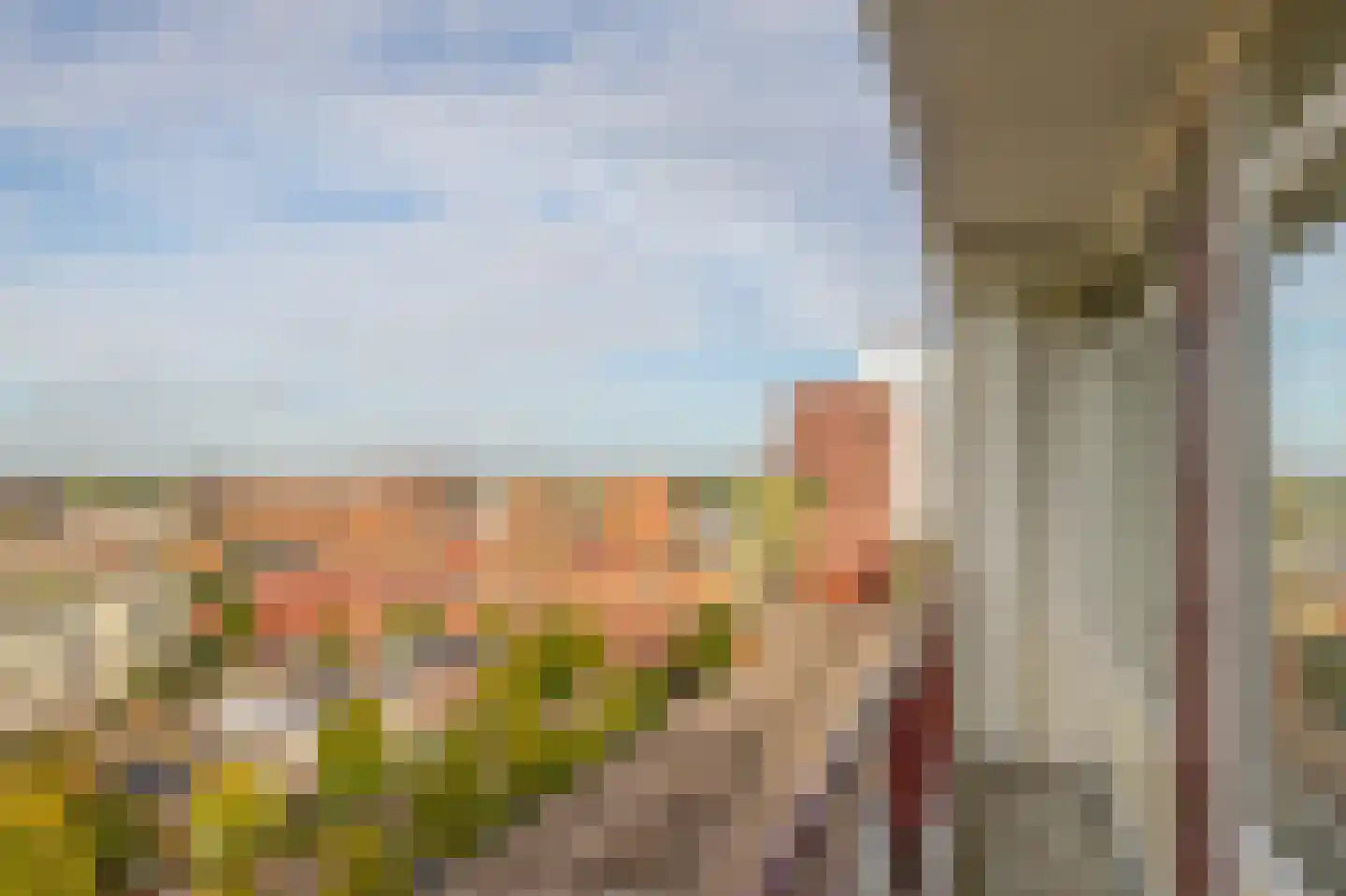 Livingstonelaan 214 Utrecht thumbnail 31