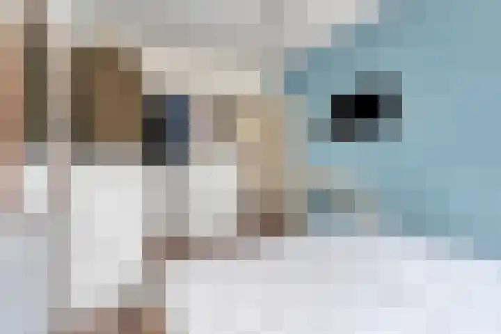 Livingstonelaan 246 Utrecht thumbnail 23