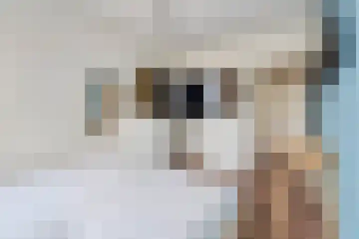 Livingstonelaan 246 Utrecht thumbnail 24