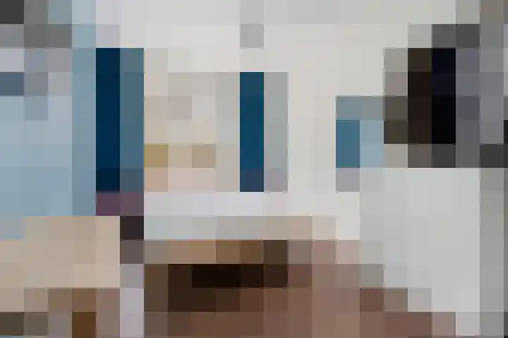 Livingstonelaan 246 Utrecht thumbnail 25