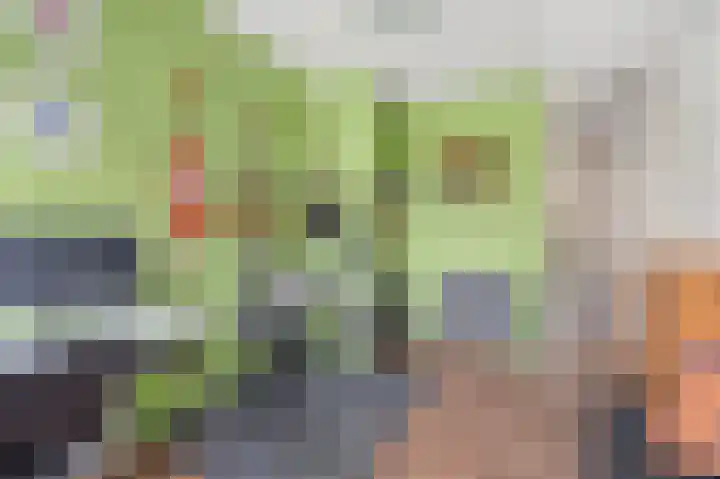 Livingstonelaan 246 Utrecht thumbnail 28