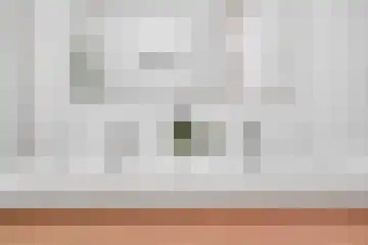 Livingstonelaan 246 Utrecht thumbnail 34
