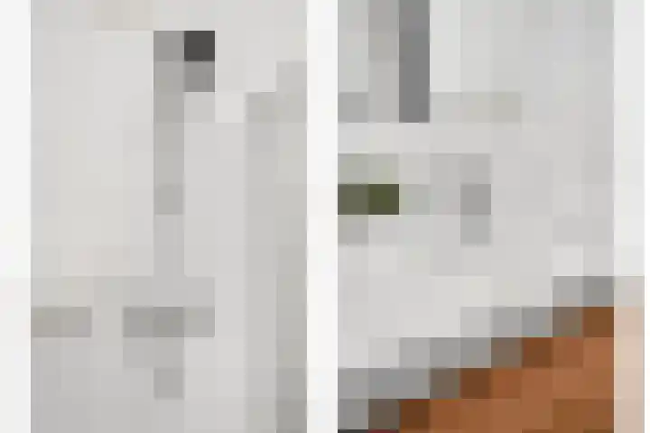 Livingstonelaan 246 Utrecht thumbnail 35