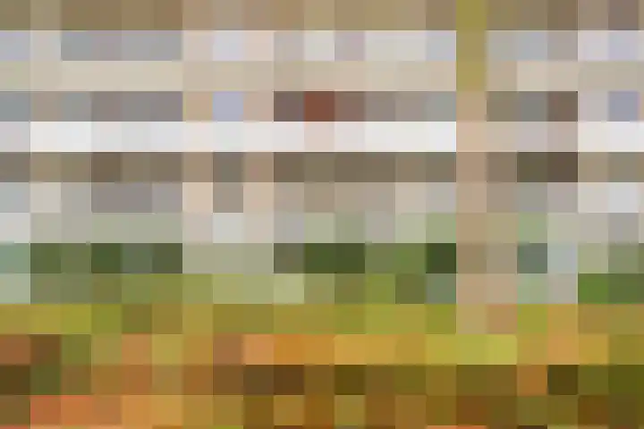 Livingstonelaan 246 Utrecht thumbnail 36