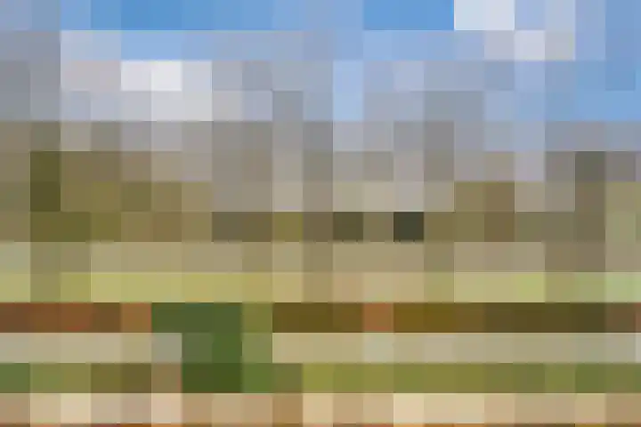 Livingstonelaan 246 Utrecht thumbnail 38