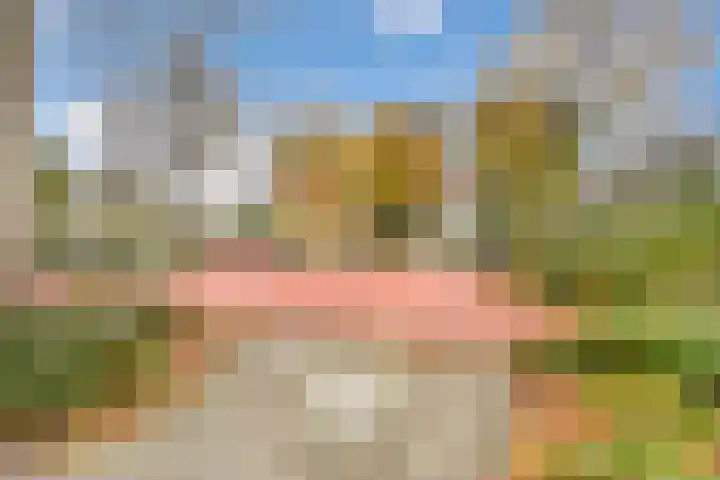 Livingstonelaan 246 Utrecht thumbnail 39