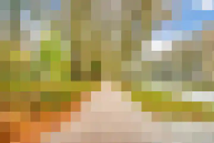 Livingstonelaan 246 Utrecht thumbnail 40