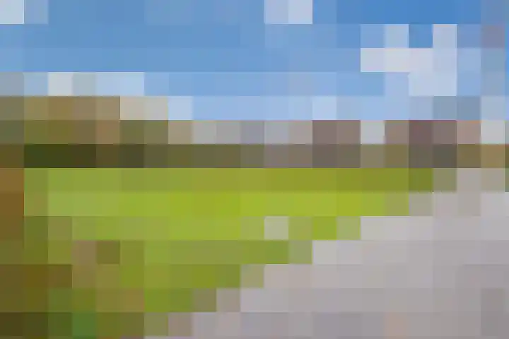 Livingstonelaan 246 Utrecht thumbnail 42