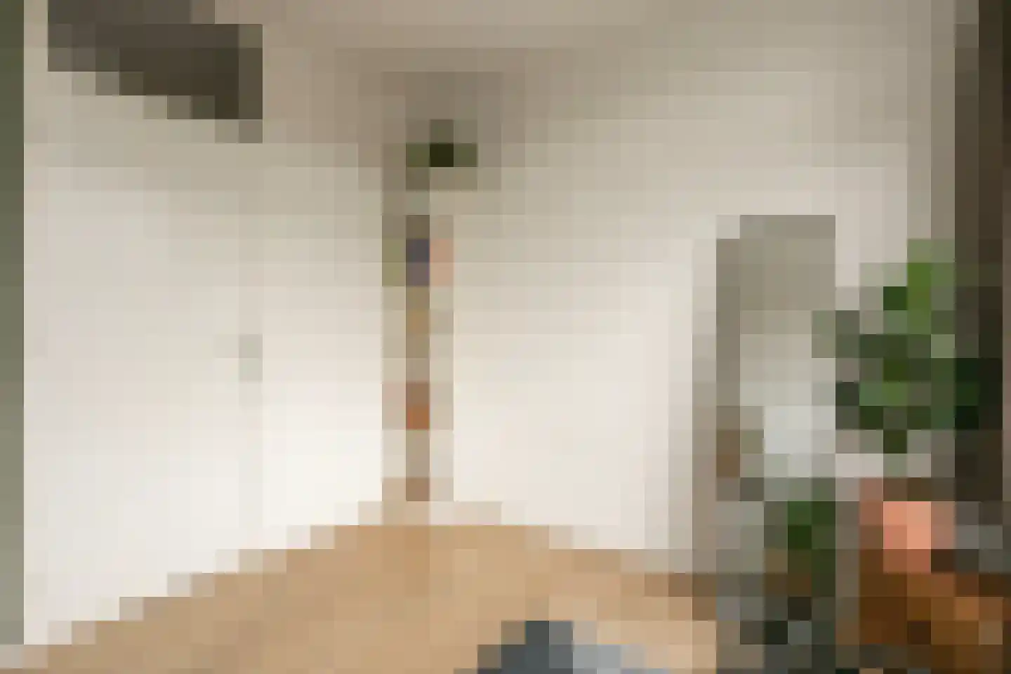 Livingstonelaan 266 Utrecht thumbnail 24